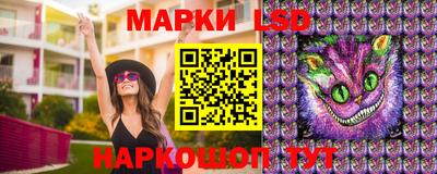 бошки Краснодар