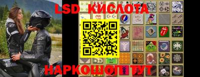 ПСИЛОЦИБИНОВЫЕ ГРИБЫ Краснокаменск