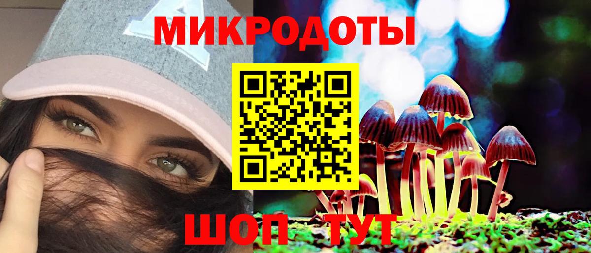 Выкса  Псилоцибиновые грибы Psilocybe  Вход с VPN 